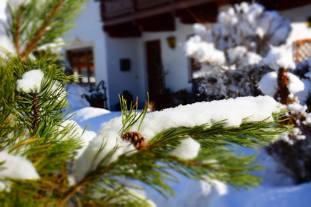 Hotel Haus Tirolerland Mayrhofen Exterior foto